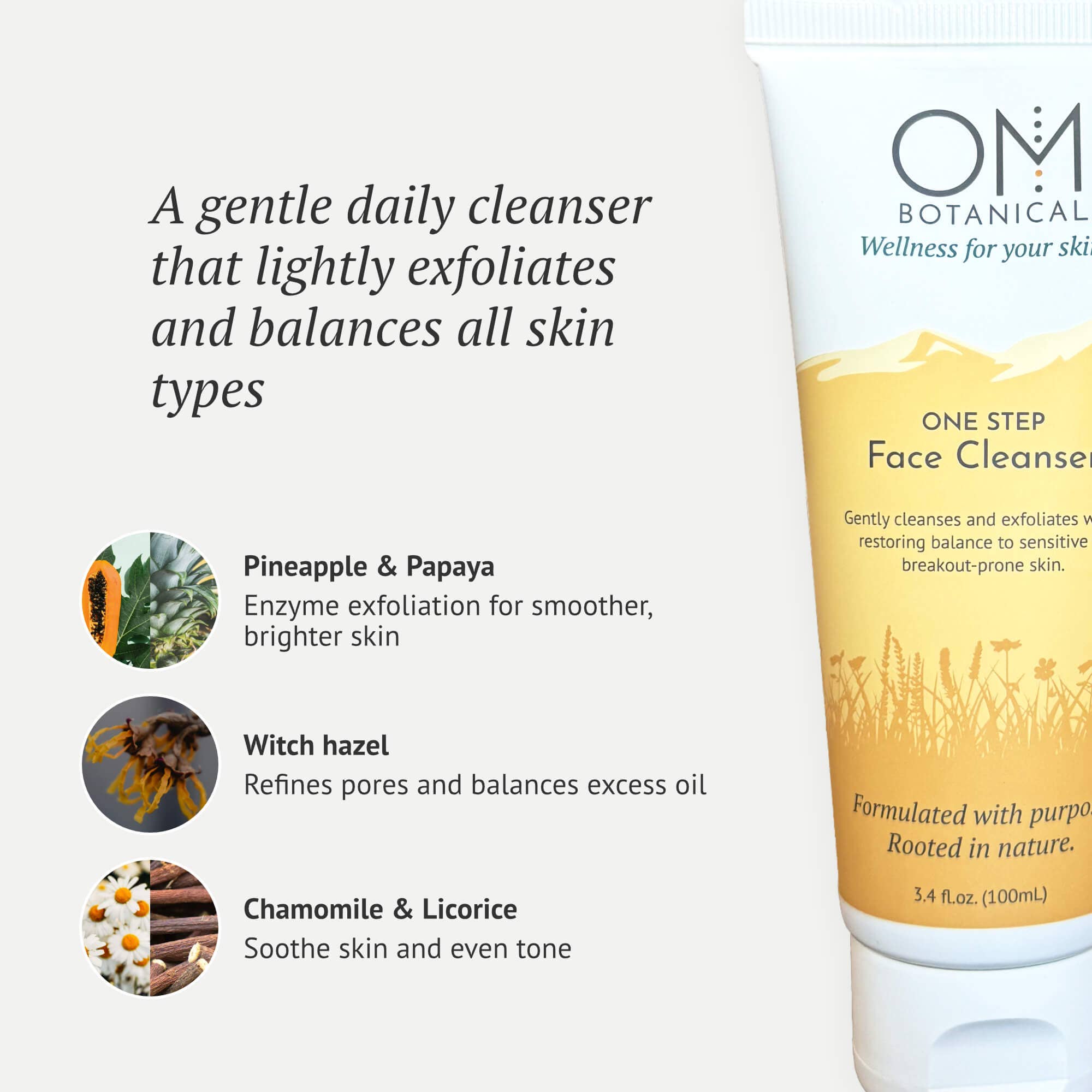 One Step Face Cleanser | Gentle Daily Exfoliating Cleanser