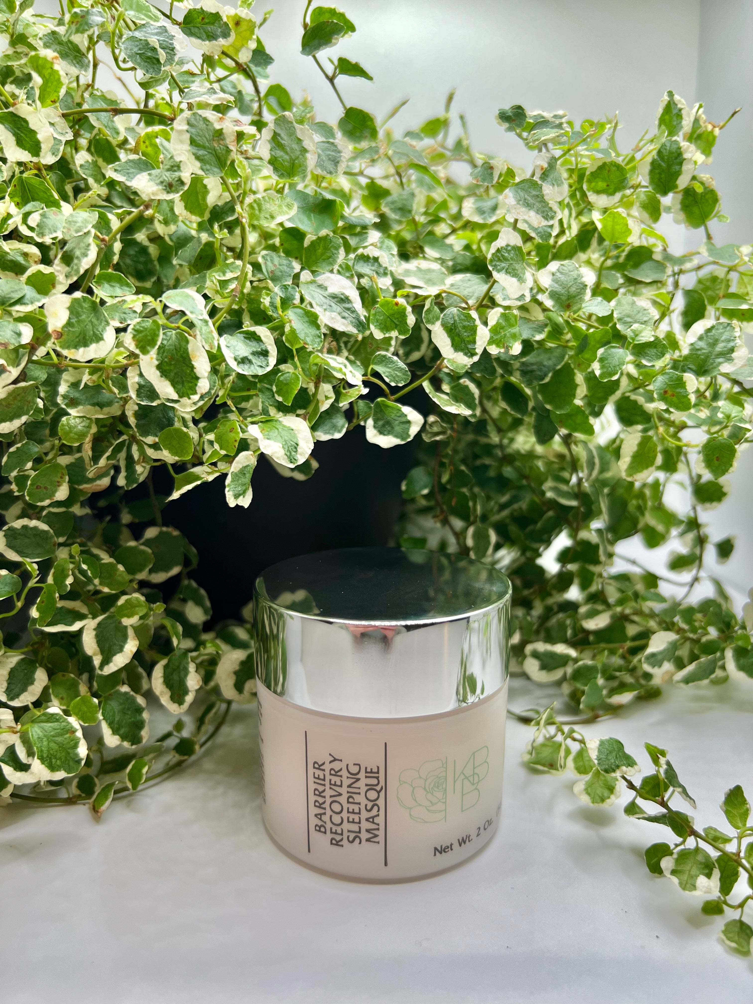 Barrier Recovery Sleep Masque