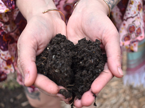 10-Day Spring Cleanse "The Deep Dive" (Digital Only)