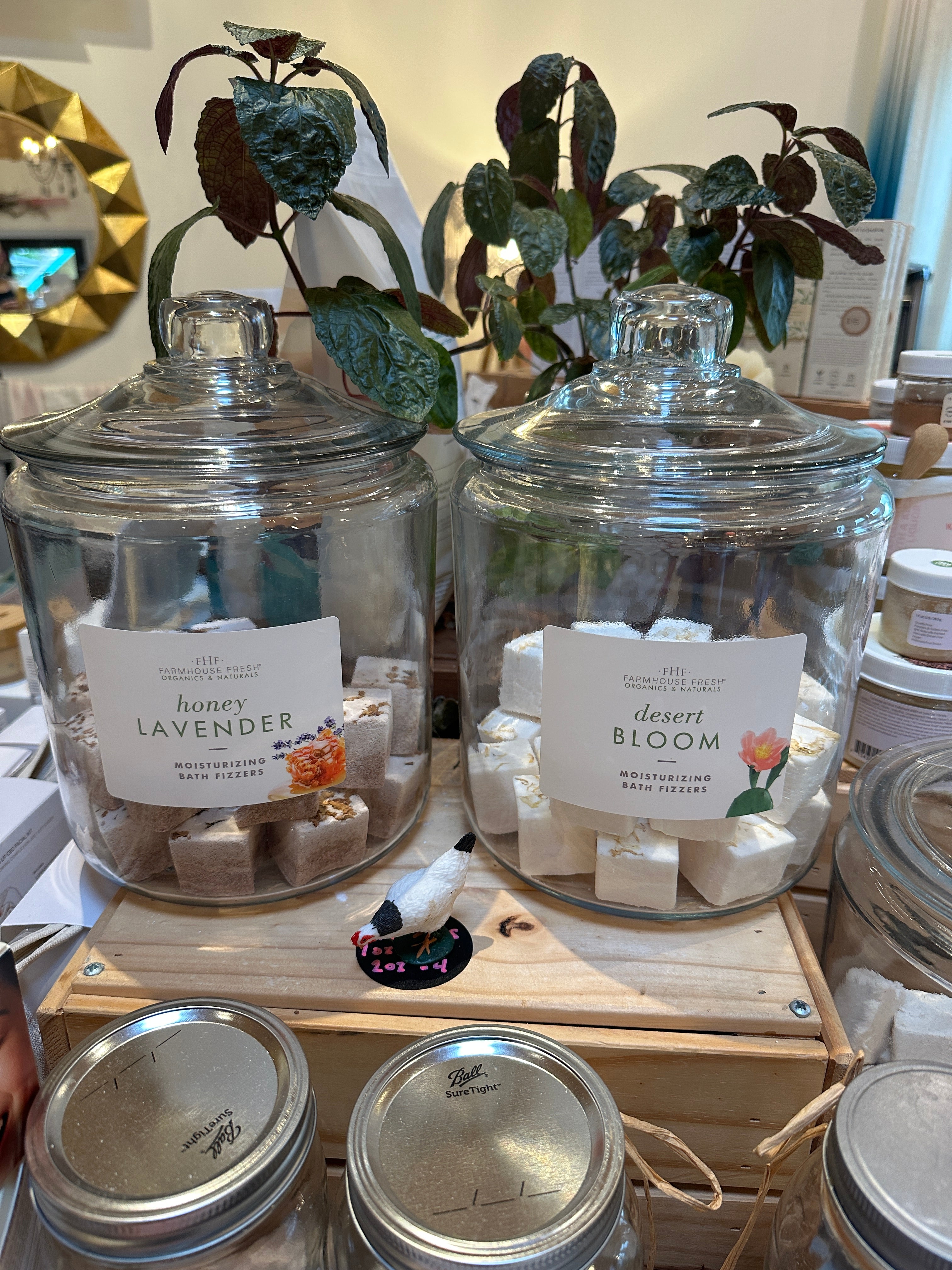 Fizzer Soak Ball - Assorted