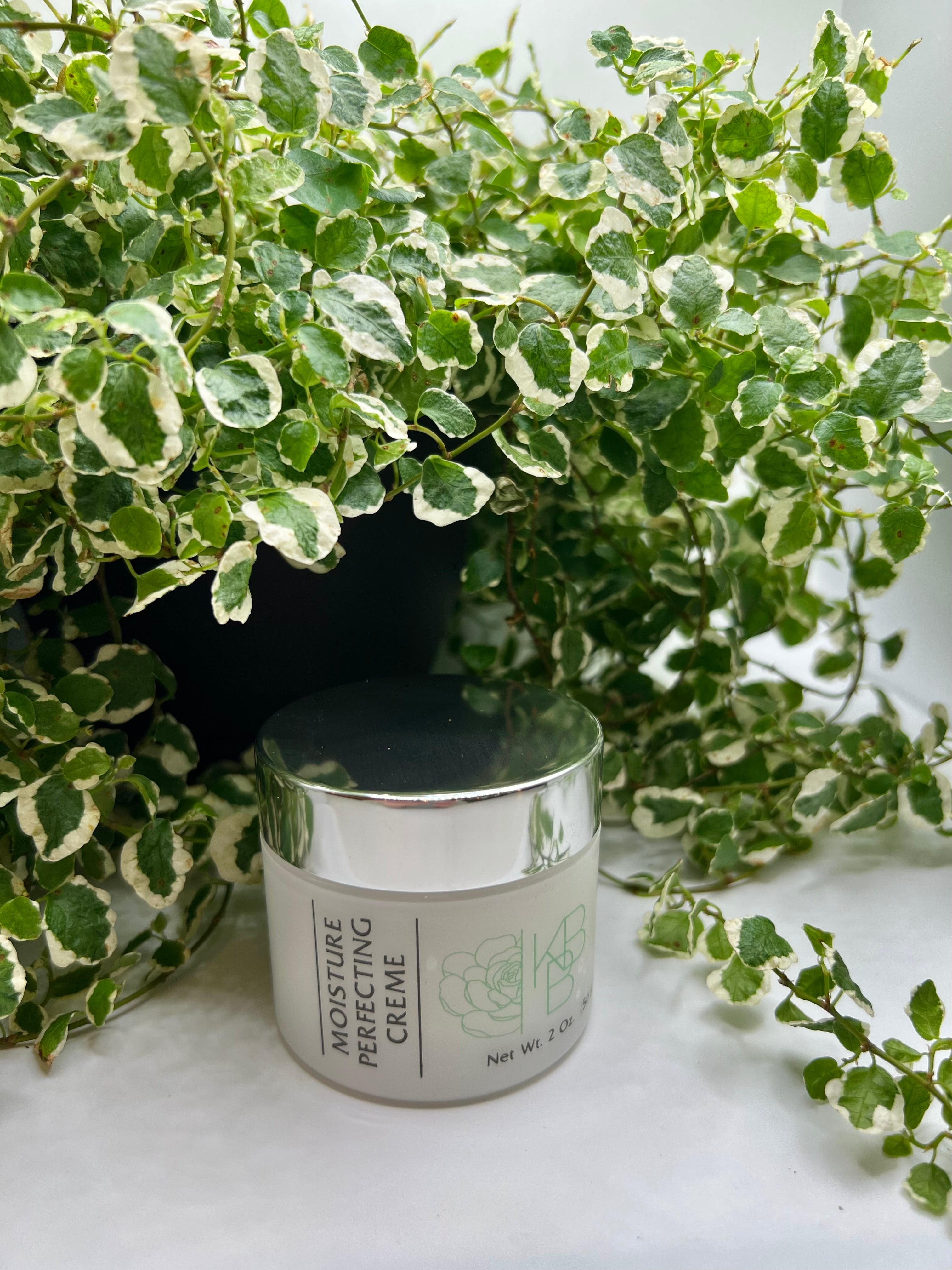 Moisture Perfecting Cream